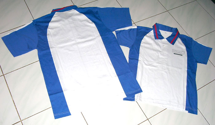 kaos_seigaku.jpg