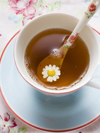 chamomile.jpg