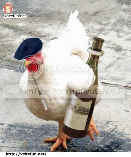 ayam.jpg