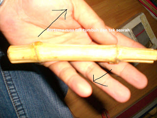 qCIMG0097.JPG