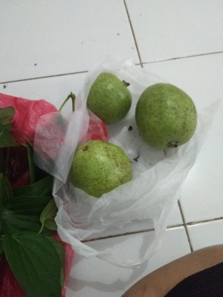 Rukun Bertetangga Itu Hal yg Indah