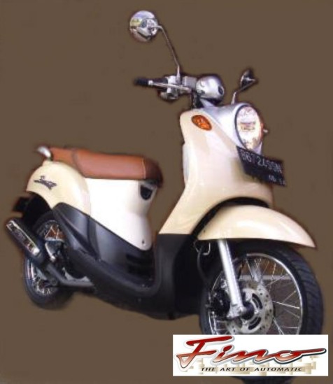 finoco10.jpg