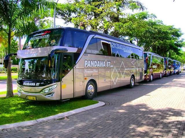 Bus SHD, Apa Saja Kekurangan & Kelebihannya?