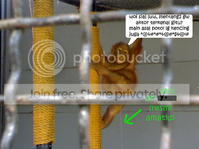 woijgnintipmonyetkencing.jpg
