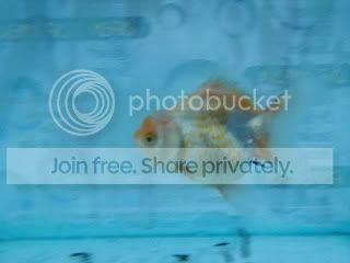 P5280017_resize_resize.jpg