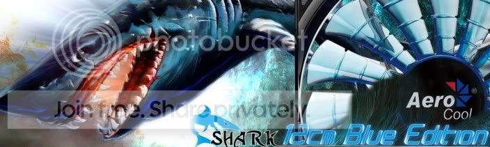shark12blue1.jpg