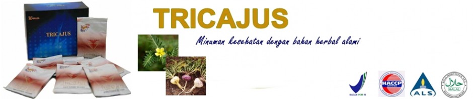 cropped-jus-banner1.jpg