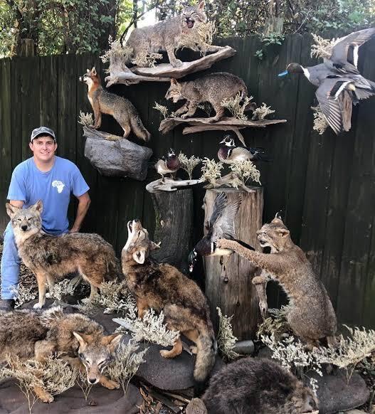 Mengenal Apa Itu Taxidermy