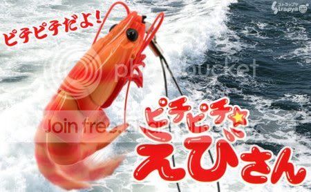 prawn.jpg