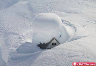 snowday-0.jpg