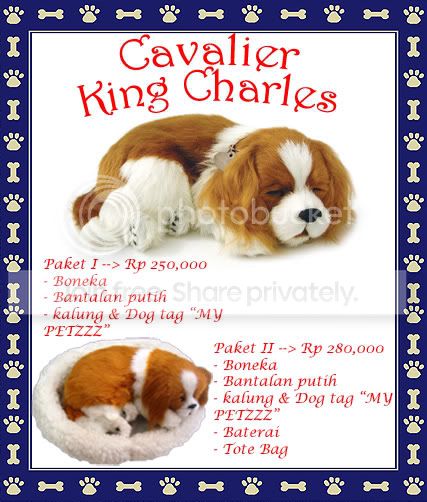 caviercopy.jpg