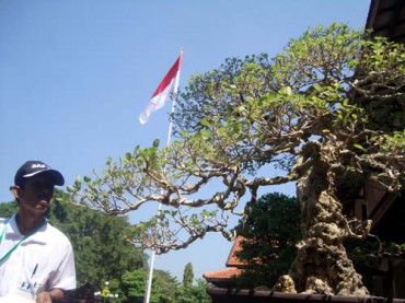 sdaHu.jpg