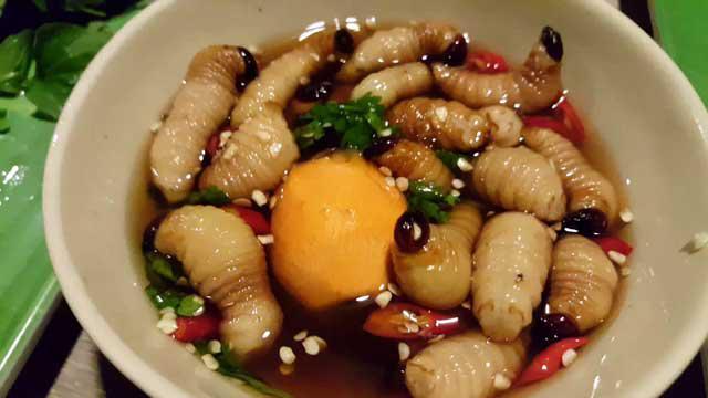 Deretan Hewan Dijadikan Kuliner, Salah Satunya Kucing! 