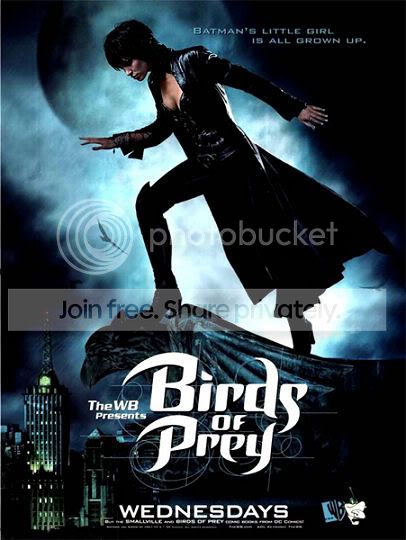 birdsofprey-big.jpg