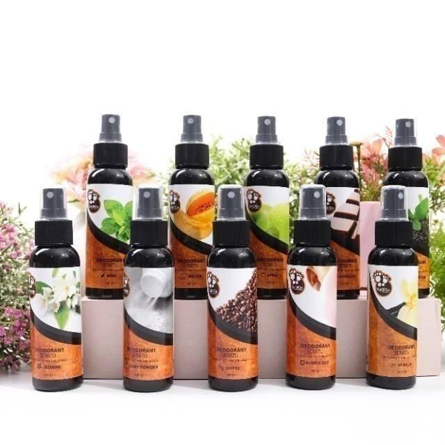 10 Rekomendasi Parfum Sepatu Terbaik 