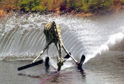 30.atlet+ski.jpg