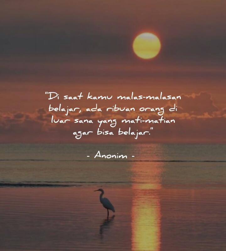 7 Quotes untuk Menampar Rasa Malas dalam Diri 