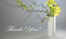 thank+you.jpeg