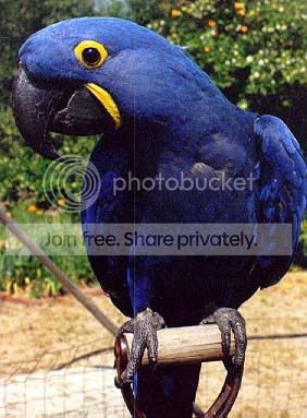 image009.jpg