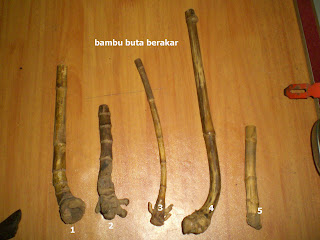 CIMG0018.JPG