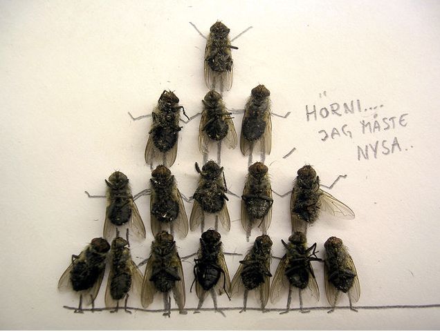 dead_flies_art_11.jpg