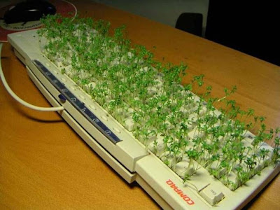 keyboardsprouts.jpg