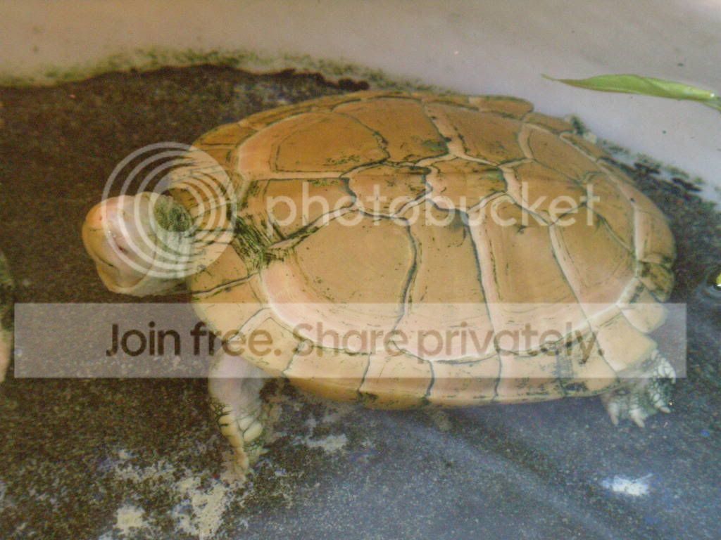 PB221039.jpg