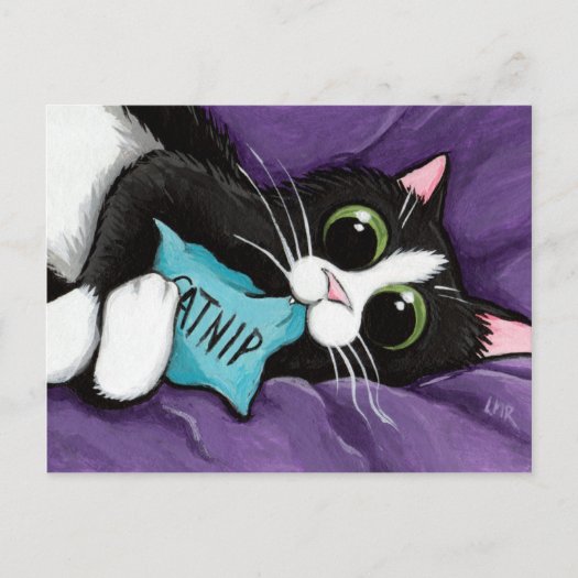 black_white_cat_with_catnip_pillow_cat_art_postcard-p239560784493491166td81_525.jpg