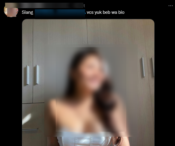 Twitter & Bisnis Dewasa/VCS yg Merajalela