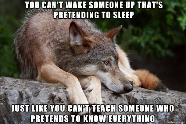 Is It Okay To Be Pretenders?? 
