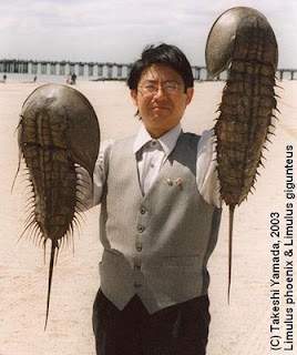 Takeshi+Yamada1.jpg