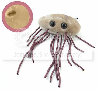 bacteria_ecoli-colon-bacillus.png