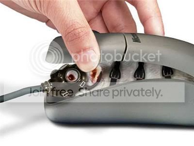 funny-20mouse.jpg