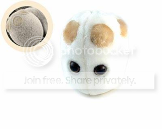 bacteria_yeast-brewers-yeast.png
