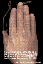 img2.gif