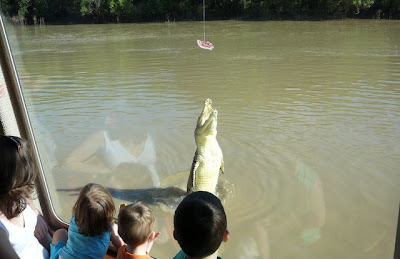 crocodiles_27.jpg
