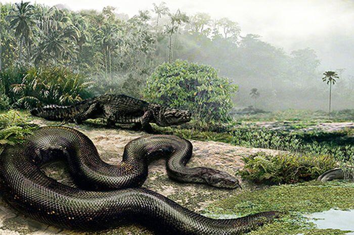 Kenapa Ular Titanoboa Punah ?