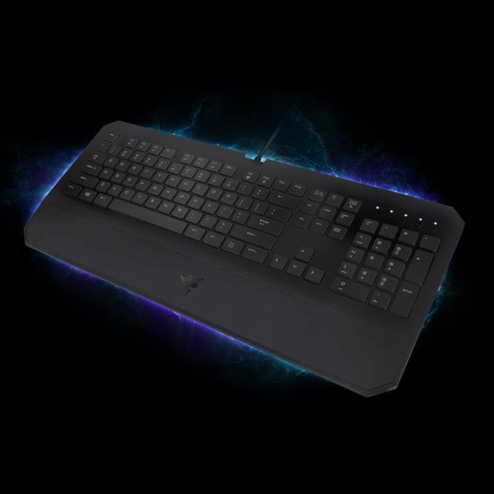 Razer%20Deathstalker%20%20Essential_3.jpg