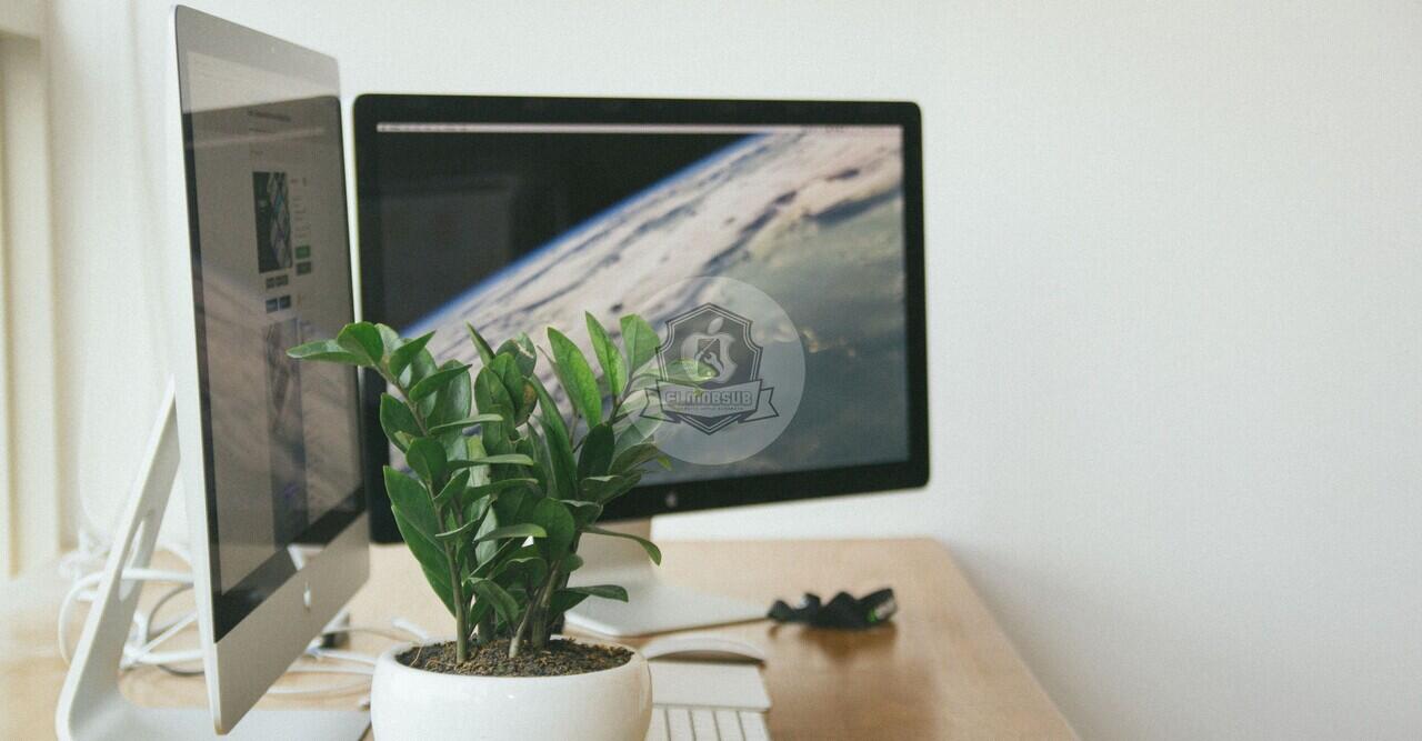Macintosh Operating System (Mac OS)