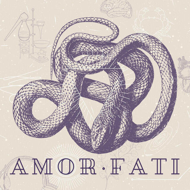 Amor Fati