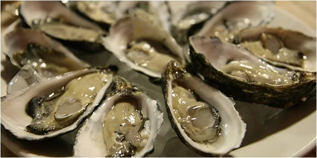 oyster_mathrubhumi.jpg