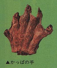 kappa+hand.jpg