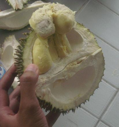 duren2.jpg
