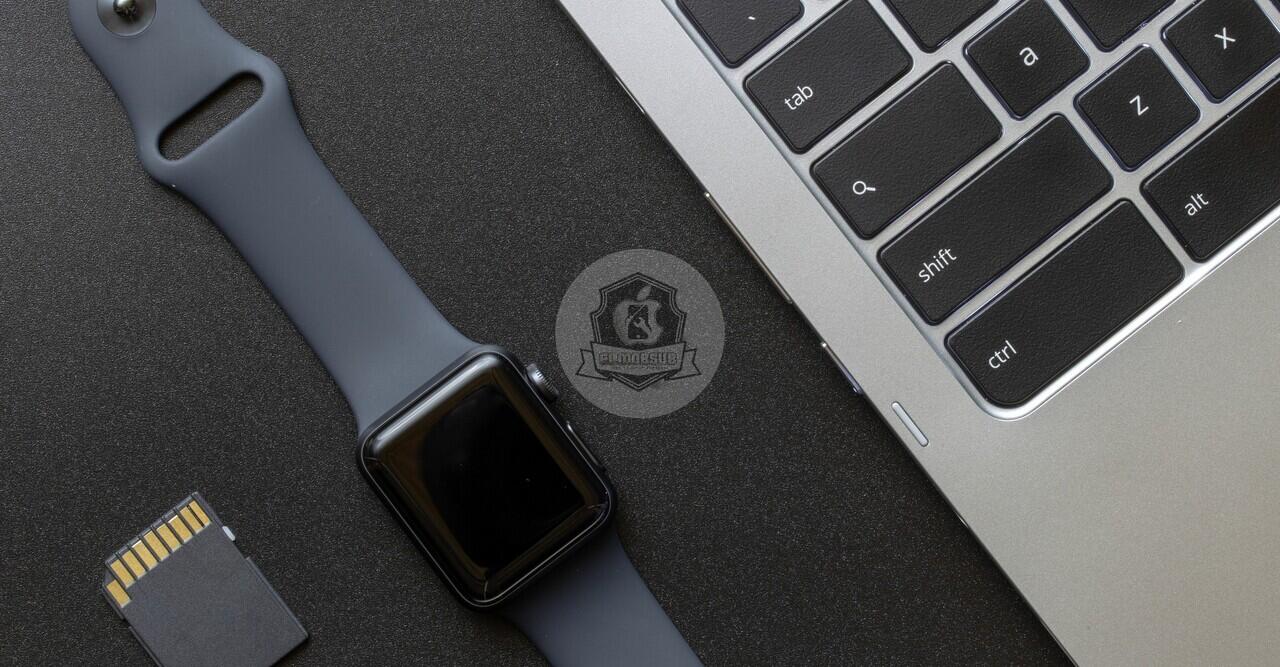 Masalah yg Sering muncul pada Layar LCD & TS Apple Watch