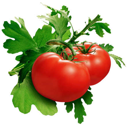 buah-tomat-foto-by-istimewa.jpg