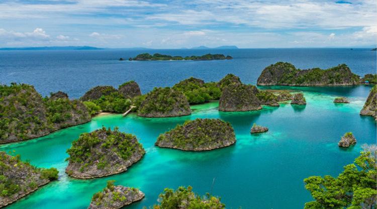 3 Racun Paling Berbahaya Yang Berasal Dari Lautan
