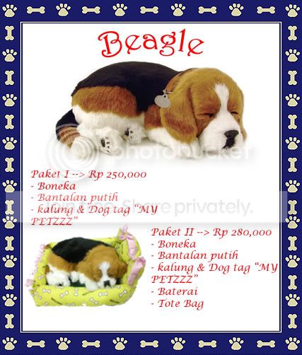 beaglecopy.jpg