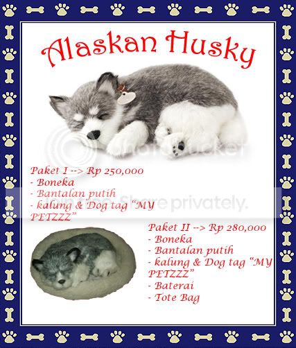 huskycopy.jpg