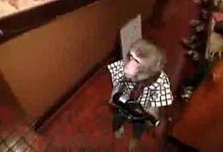monkey_waiter_4.jpg