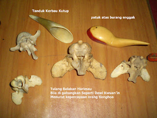 abCIMG0016.JPG